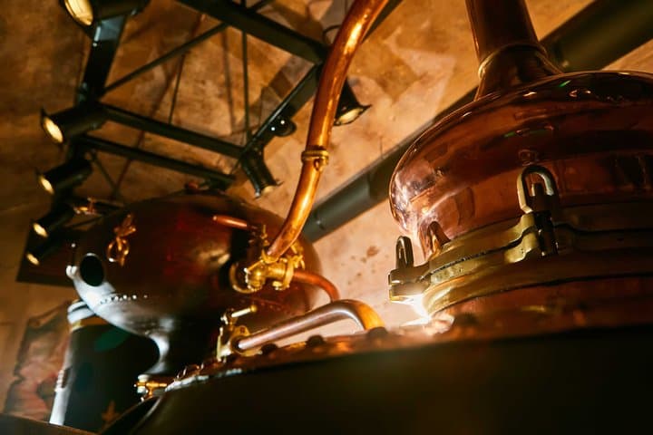 Cognac Wein Tour und Weinberg Safari in Cognac — Foto 3