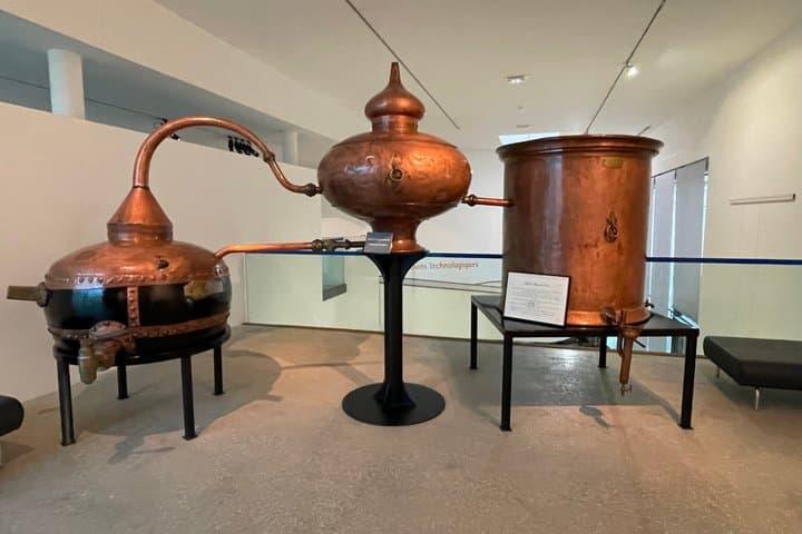 Cognac Wein Tour und Weinberg Safari in Cognac — Foto 4