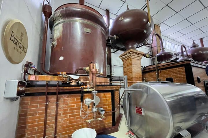 Cognac Wein Tour und Weinberg Safari in Cognac — Foto 5