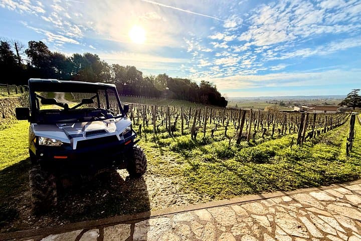 Tour del Vino Biodinamico a Saint Emilion — foto 2