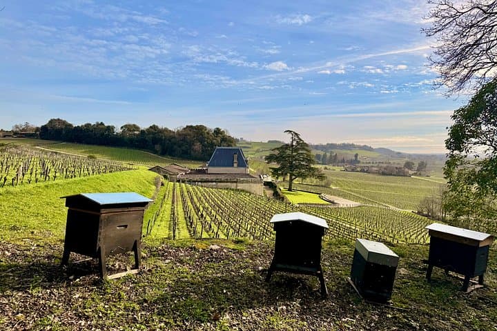 Tour del Vino Biodinamico a Saint Emilion — foto 3