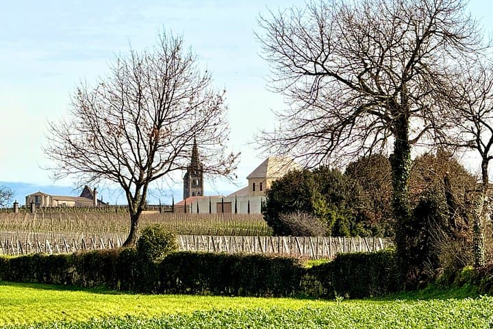 Tour del Vino Biodinamico a Saint Emilion — foto 4