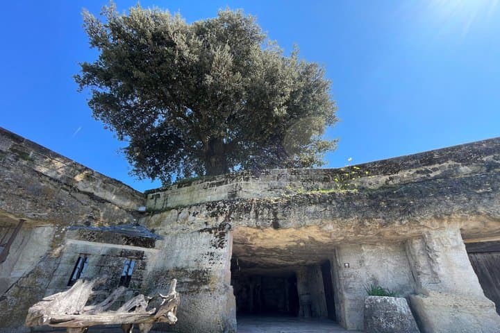 Tour del Vino di Bordeaux: Pietra e Geologia attorno a Saint Emilion — foto 2