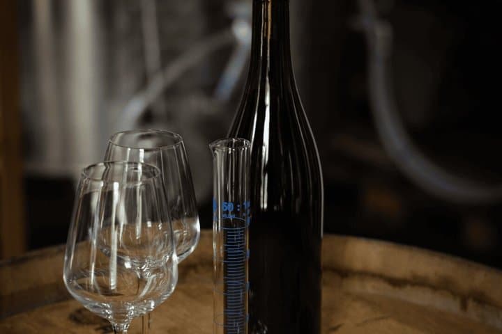 Création de vin à Bordeaux — photo 2