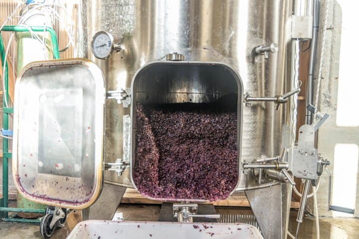 Création de vin à Bordeaux — photo 5