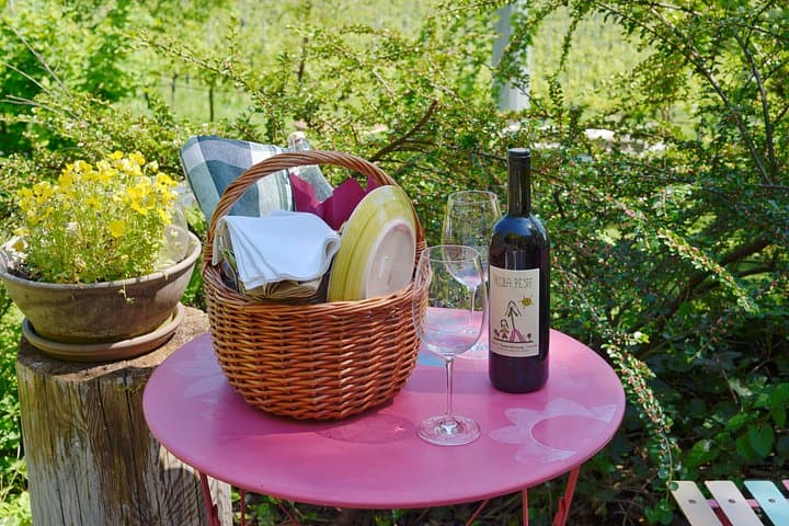 Naturwein-Tour ab Verona mit biologischem Mittagessen — Foto 5