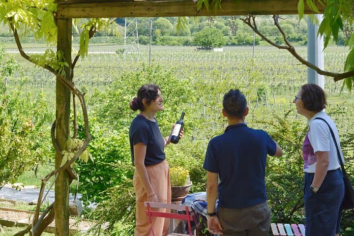 Naturwein-Tour ab Verona mit biologischem Mittagessen — Foto 2