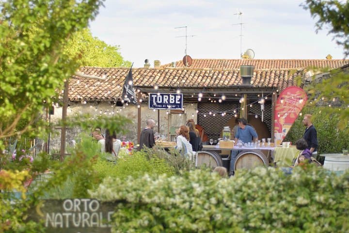 Naturwein-Tour ab Verona mit biologischem Mittagessen