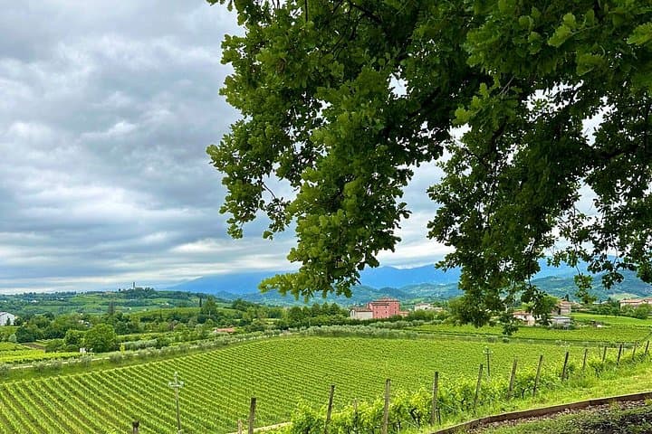 Naturwein-Tour ab Verona mit biologischem Mittagessen — Foto 3