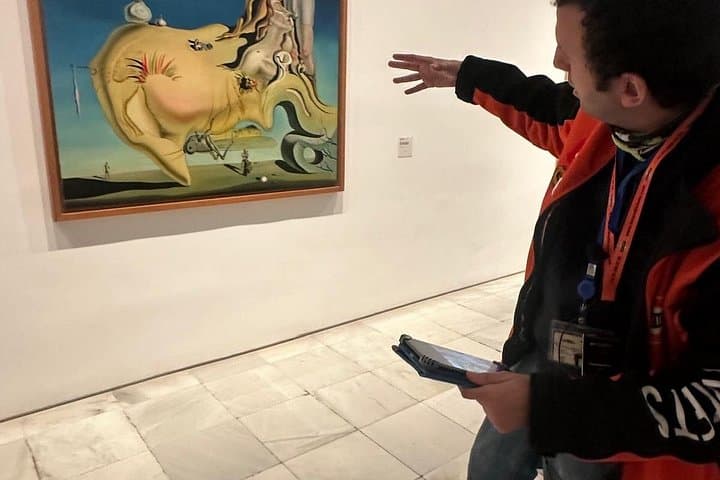 Esperienza Picasso al Museo Reina Sofía di Madrid — foto 2