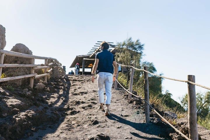Tour di un giorno a Ercolano, Vesuvio e Pompei da Napoli — foto 3
