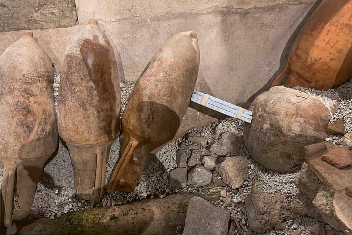 Tour Privado de Pompeya desde Nápoles con Guía y Transporte — foto 5