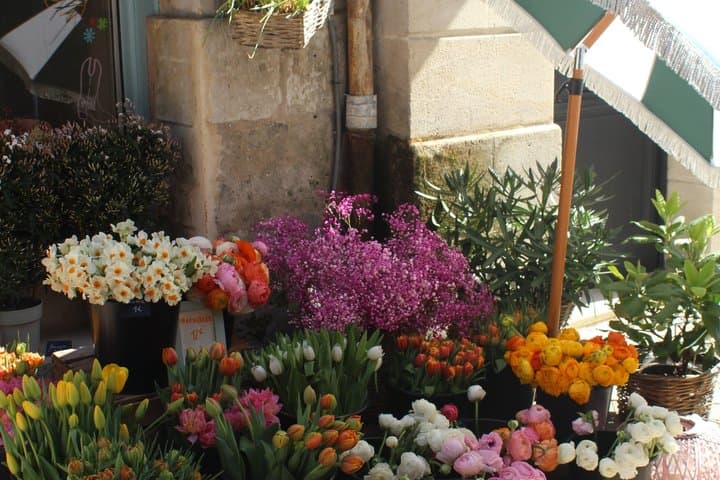 Bordeauxs Top Sehenswürdigkeiten und Food Tour (veganfreundlich) — Foto 5