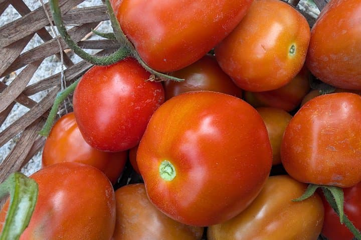 Kochkurs und Weinverkostung in Italien — Foto 3