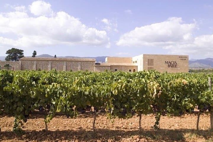 Tour en grupo reducido por Valldemossa y cata de vinos mallorquines — foto 5