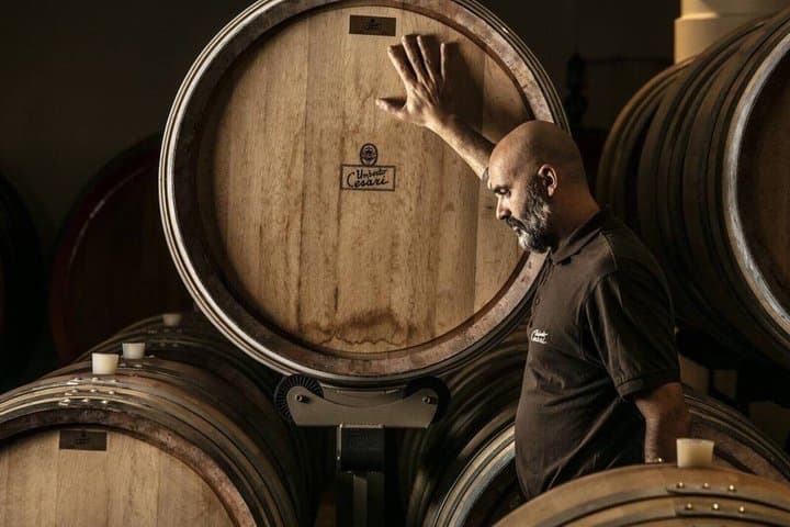 EXPÉRIENCE VINS - Visite de Demi-Journée depuis Bologne