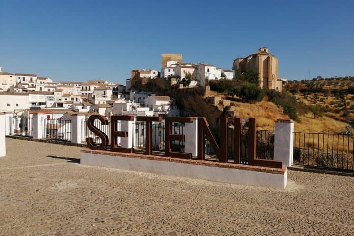 Tour de Ronda y Setenil con Degustación desde la Costa del Sol — foto 4
