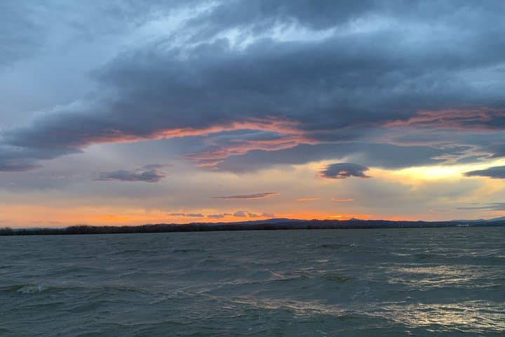 Tour Privato del Parco Naturale dell'Albufera con Giro in Barca — foto 4
