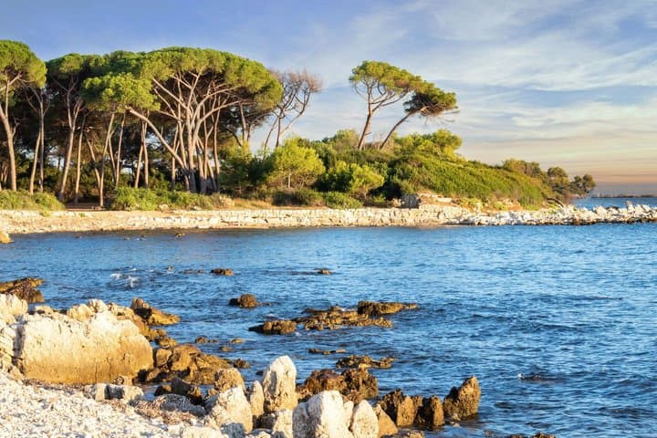 Cannes Inseln Flucht – Private Küstentour mit dem Boot