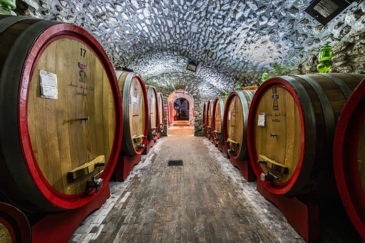 Tour de Bodega en Valpolicella con Cata y Picnic — foto 2