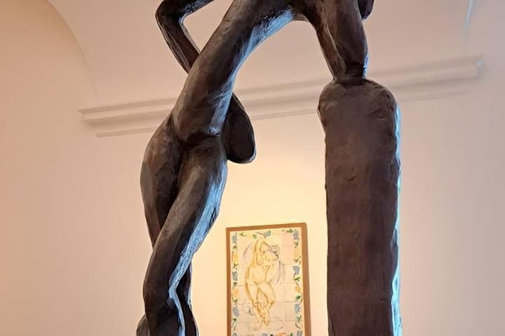 Tour dei 4 Musei d'Arte a Nizza: Matisse, Chagall, Belle Arti, Massena