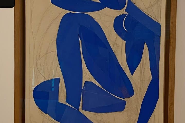 Tour dei 4 Musei d'Arte a Nizza: Matisse, Chagall, Belle Arti, Massena — foto 3