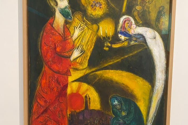 Tour dei 4 Musei d'Arte a Nizza: Matisse, Chagall, Belle Arti, Massena — foto 5