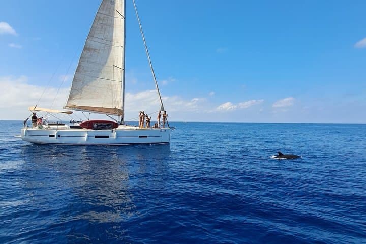 Aventura en Velero en Marbella