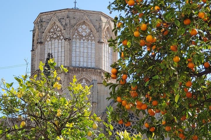 Laboratorio di Ceramica e Esplorazione del Parco a Valencia — foto 2