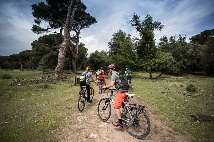 Alquiler de E-MTB en Pisa y Toscana — foto 2