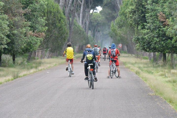 Alquiler de E-MTB en Pisa y Toscana — foto 4