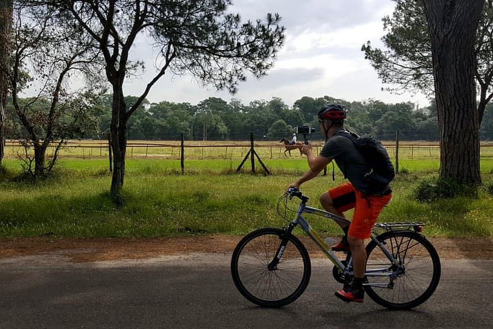 Alquiler de E-MTB en Pisa y Toscana — foto 5