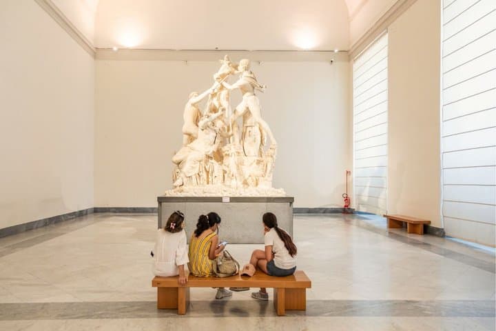 Biglietto d'ingresso prioritario per il Museo Archeologico Nazionale di Napoli — foto 2