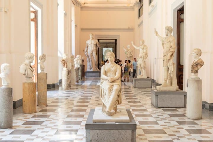 Biglietto d'ingresso prioritario per il Museo Archeologico Nazionale di Napoli