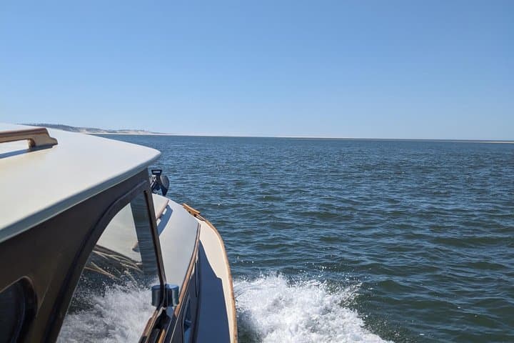 Escursione privata di un giorno ad Arcachon con crociera in barca e Duna di Pilat