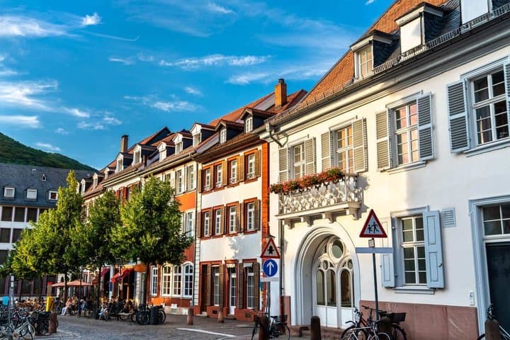 Private 2-stündiger Stadtspaziergang in Heidelberg — Foto 4