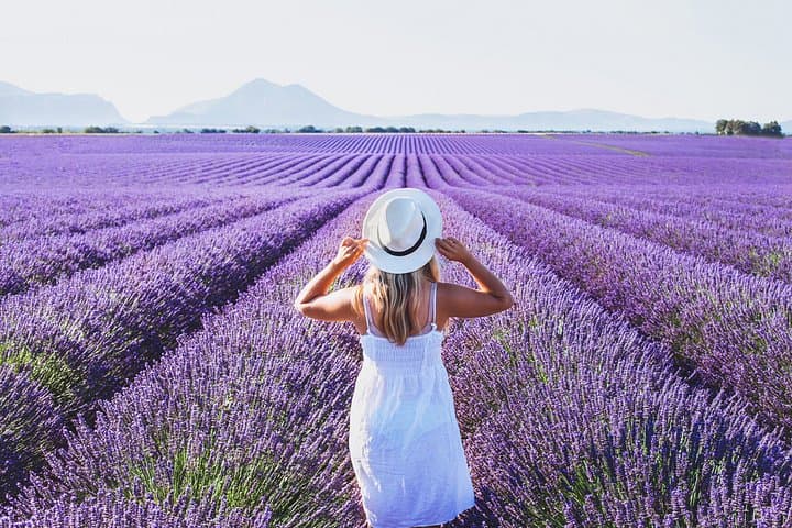 Private Tour: Provence Lavendel & lokale Köstlichkeiten ab Marseille