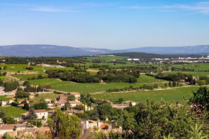 Private Shore Tour: Provence Weinverkostung & Malerische Dörfer — Foto 5