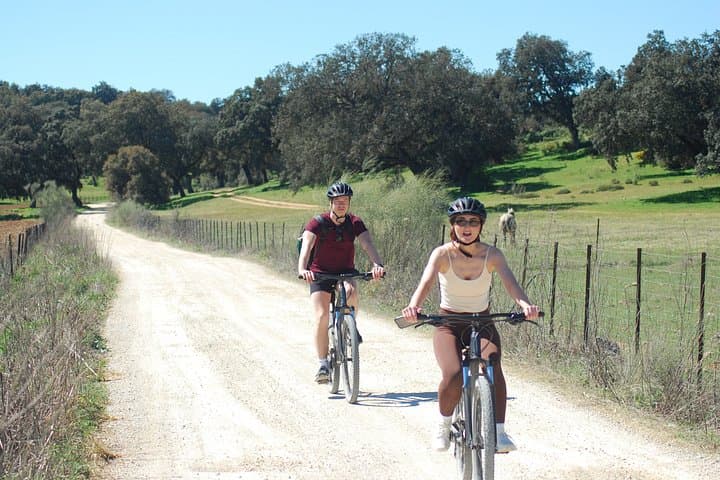Aventura en bicicleta autoguiada de Ronda a Setenil — foto 4