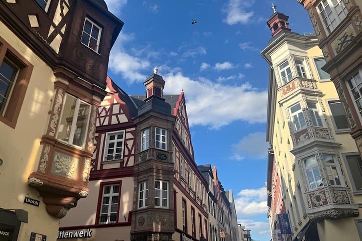 Tour di un giorno nella Valle della Mosella da Colonia a Coblenza e Cochem — foto 3