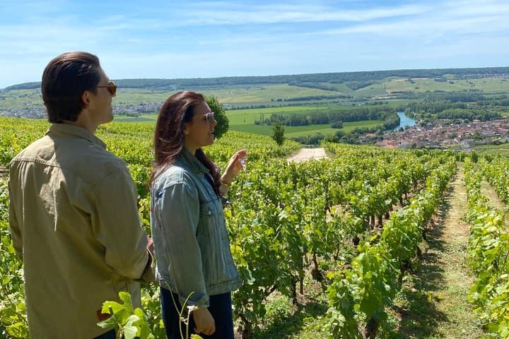 Champagner-Weinberge & Keller Tour mit Sommelier ab Paris — Foto 3
