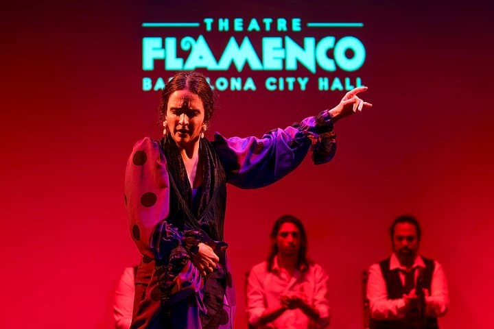 Billet pour le spectacle de Flamenco au Théâtre Barcelona City Hall — photo 2