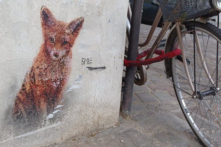 Tour a piedi dei punti salienti di Montmartre — foto 5