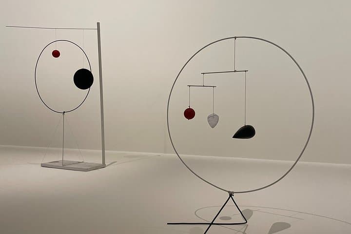 Tour Privato della Fondazione Louis Vuitton con Alexandre Calder — foto 4
