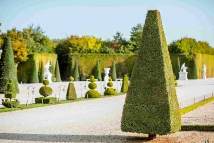 Tour Privado de Versalles con Carrito de Golf y Acceso al Trianon — foto 4