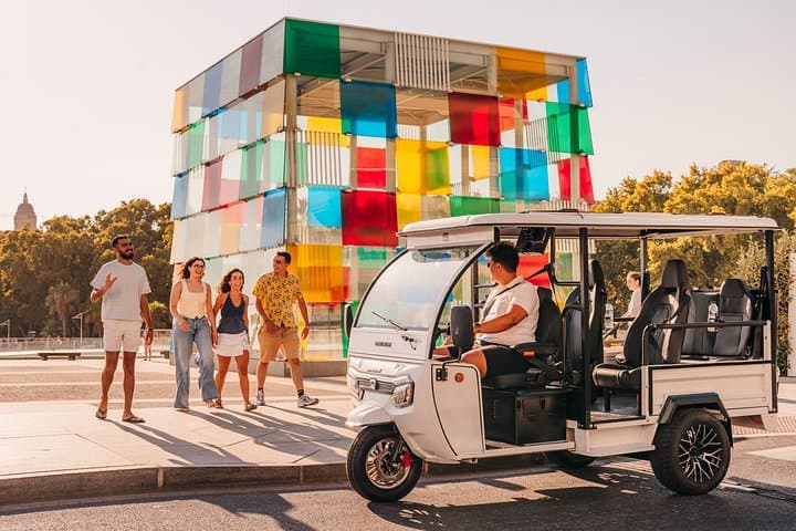Malaga Essentielle PRIVATE TOUR im Elektrischen Tuktuk 2h
