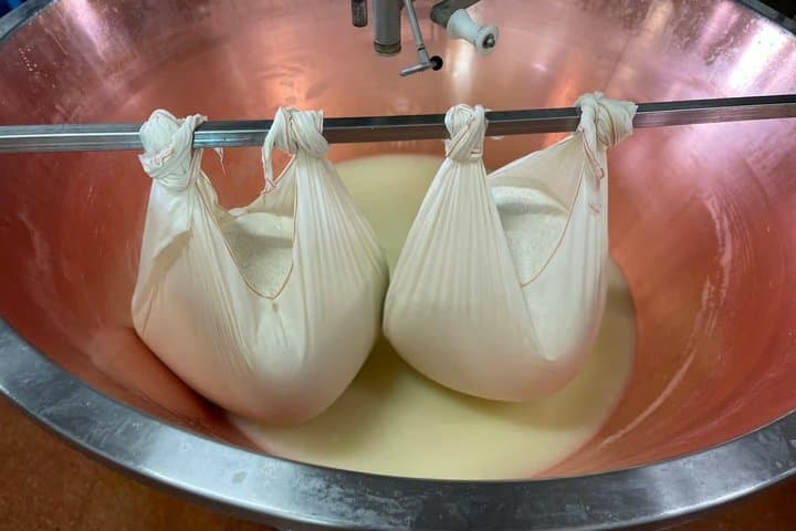 Private Tour von Modena zur Bio-Produktion von Parmigiano Reggiano mit Verkostung — Foto 5