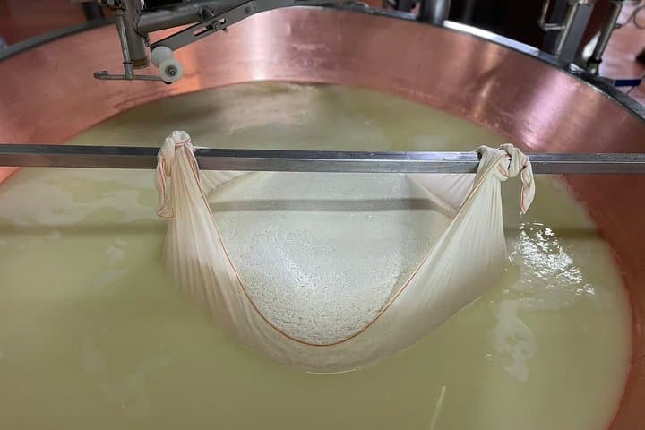 Private Tour von Modena zur Bio-Produktion von Parmigiano Reggiano mit Verkostung — Foto 4