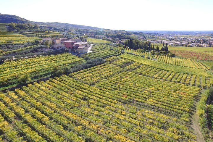 Amarone Della Valpolicella Wein Erlebnis - Treffen Sie die Familie Vogadori