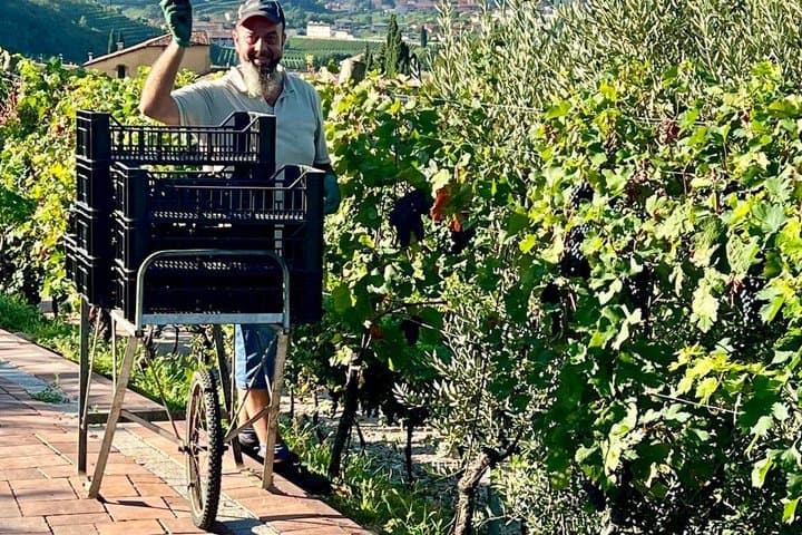 Amarone Della Valpolicella Wein Erlebnis - Treffen Sie die Familie Vogadori — Foto 2